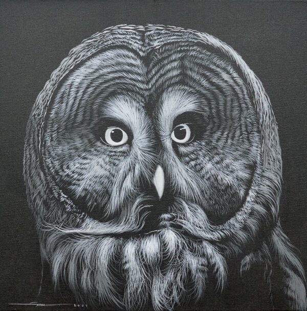 Hibou dans la Nuit – 40 X 40 cm Galerie d'art